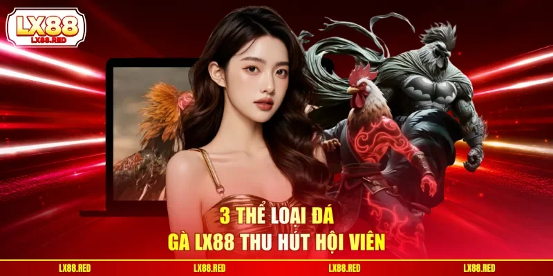 Đá Gà LX88 - 3 Hình Thức Chọi Kê Được Yêu Thích Nhất - luckyharbor