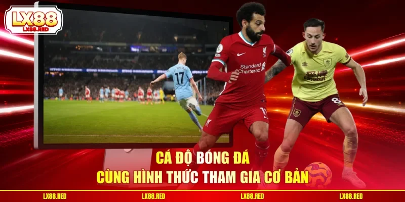 Cá Độ Bóng Đá LX88 - Hướng Dẫn Tham Gia Đặt Cược Chi Tiết - luckyharbor