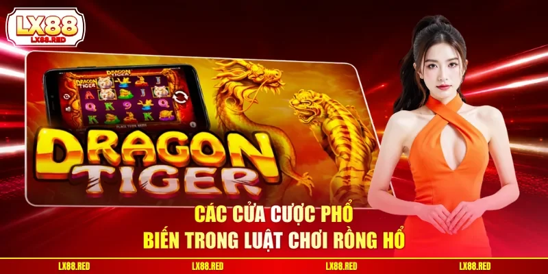 Hé Lộ Luật Chơi Rồng Hổ Và Cách Đặt Cược Dễ Thắng Hơn - luckyharbor