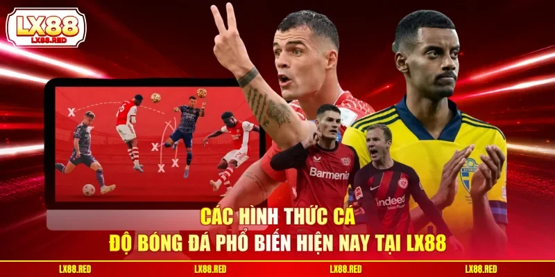 Cá Độ Bóng Đá LX88 - Hướng Dẫn Tham Gia Đặt Cược Chi Tiết - luckyharbor