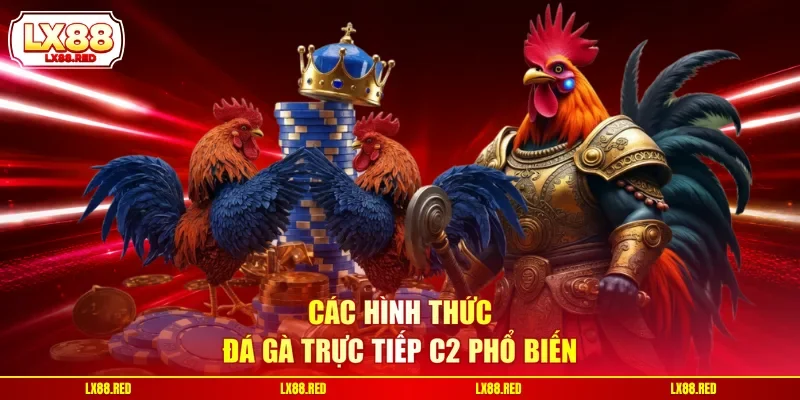 Đá Gà Trực Tiếp C2 | Siêu Phẩm Livestream Chiến Kê Kịch Tính - luckyharbor
