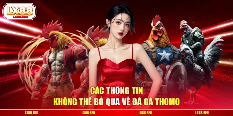 Đá Gà Thomo - Cập Nhật Thông Tin Chuẩn Xác Từ A Đến Z - luckyharbor
