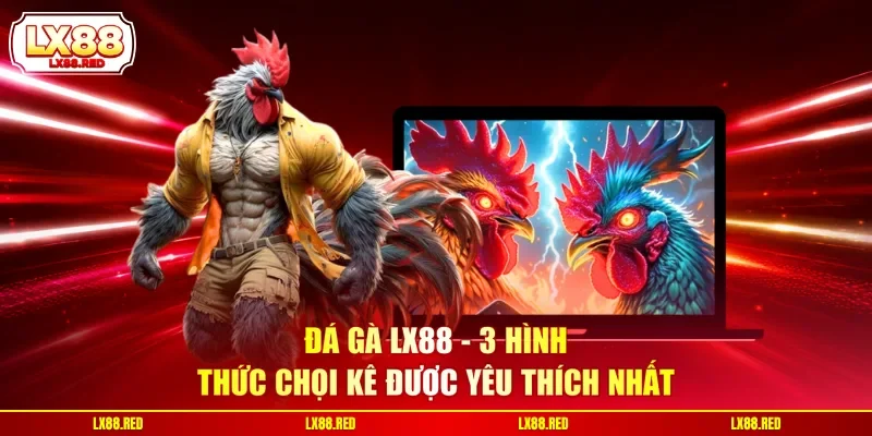 Đá Gà LX88 - 3 Hình Thức Chọi Kê Được Yêu Thích Nhất - luckyharbor