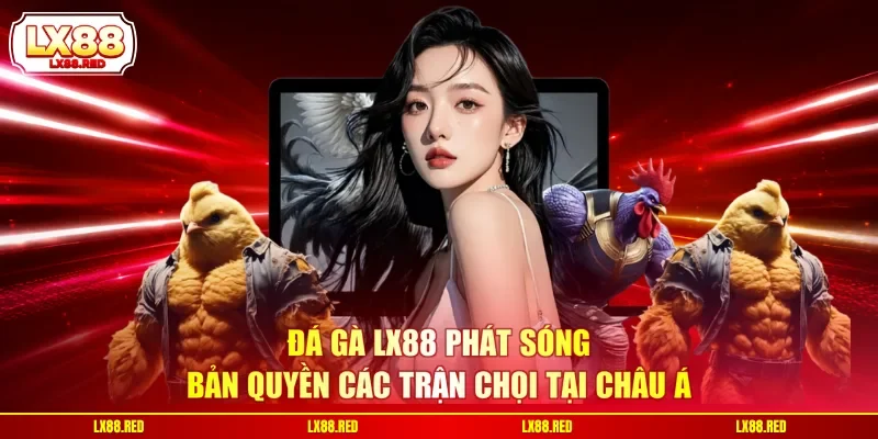 Đá Gà LX88 - 3 Hình Thức Chọi Kê Được Yêu Thích Nhất - luckyharbor