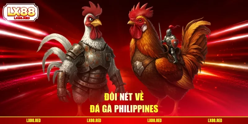 Đá Gà Philippines | Hình Thức Chọi Kê Chuyên Nghiệp - luckyharbor