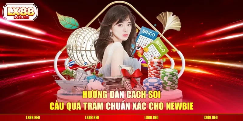 Soi Cầu Quả Trám - Bật Mí Bí Quyết Cực Chuẩn Từ Chuyên Gia - luckyharbor