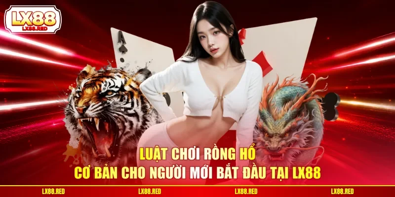 Hé Lộ Luật Chơi Rồng Hổ Và Cách Đặt Cược Dễ Thắng Hơn - luckyharbor