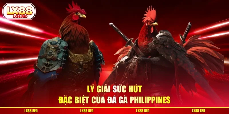 Đá Gà Philippines | Hình Thức Chọi Kê Chuyên Nghiệp - luckyharbor