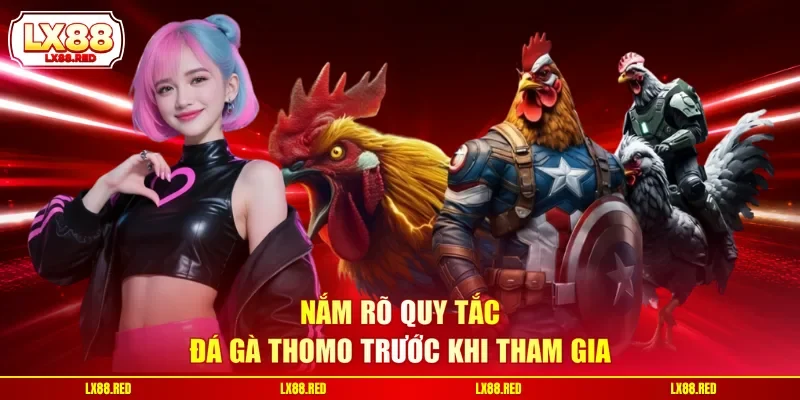 Đá Gà Thomo - Cập Nhật Thông Tin Chuẩn Xác Từ A Đến Z - luckyharbor