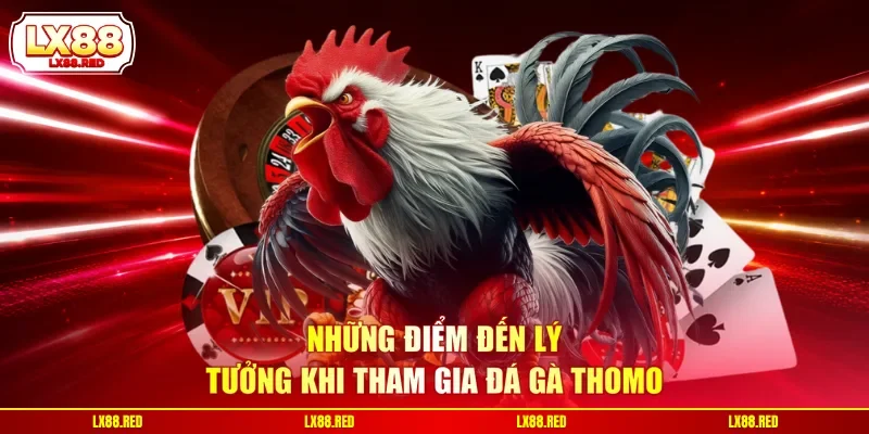 Đá Gà Thomo - Cập Nhật Thông Tin Chuẩn Xác Từ A Đến Z - luckyharbor