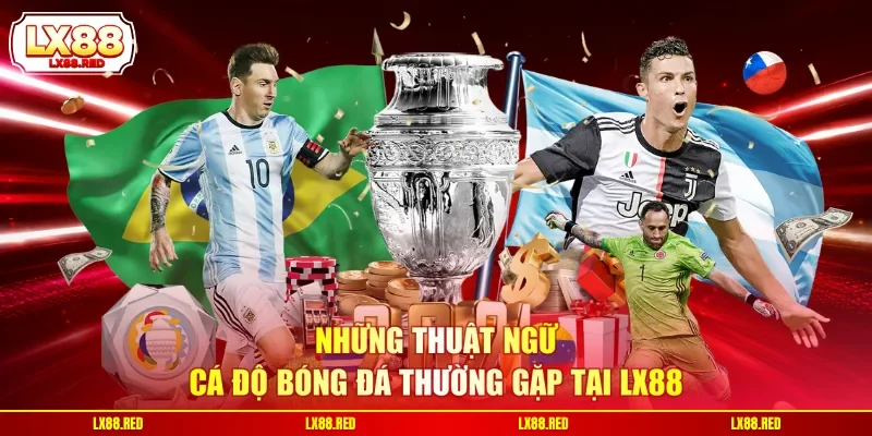 Thuật Ngữ Cá Độ Bóng Đá - Giải Mã Toàn Bộ Kèo Và Tỷ Lệ - luckyharbor