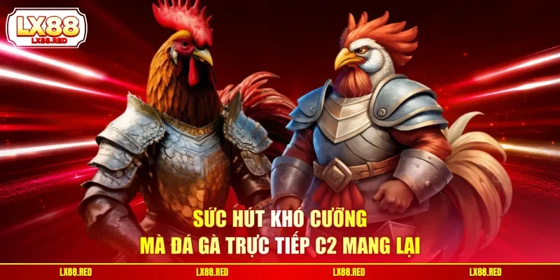 Đá Gà Trực Tiếp C2 | Siêu Phẩm Livestream Chiến Kê Kịch Tính - luckyharbor
