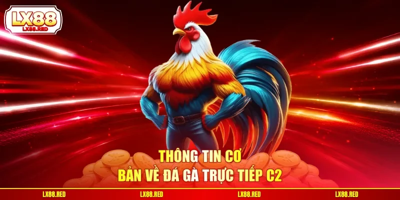 Đá Gà Trực Tiếp C2 | Siêu Phẩm Livestream Chiến Kê Kịch Tính - luckyharbor