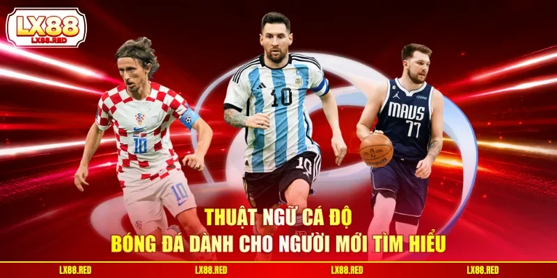 Thuật Ngữ Cá Độ Bóng Đá - Giải Mã Toàn Bộ Kèo Và Tỷ Lệ - luckyharbor