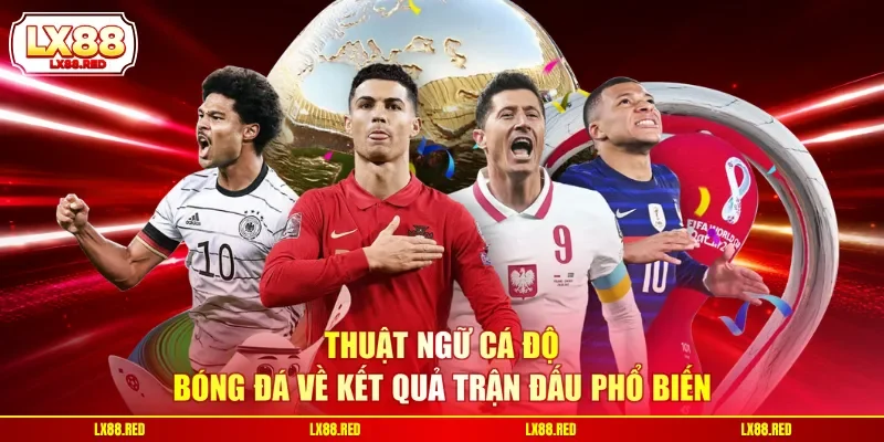 Thuật Ngữ Cá Độ Bóng Đá - Giải Mã Toàn Bộ Kèo Và Tỷ Lệ - luckyharbor