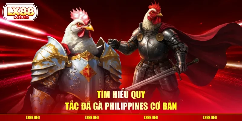 Đá Gà Philippines | Hình Thức Chọi Kê Chuyên Nghiệp - luckyharbor