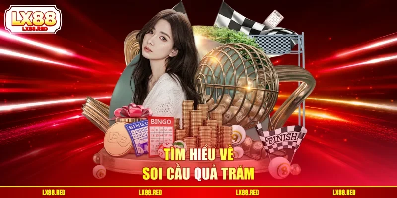 Soi Cầu Quả Trám - Bật Mí Bí Quyết Cực Chuẩn Từ Chuyên Gia - luckyharbor